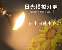 Yellowing-resistant bulb Test bulb OSRAM OSRAM 300W UV bulb 365~400nm