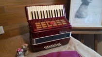 Italian Pure Real Reed Classic Heckler Accordion 48 Bex Tone Color Flood with good quality 