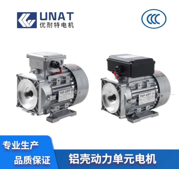 Factory Direct Sales Hydraulic Power Unit Motor Lifting Platform Lift Motor (Pure Copper Core)