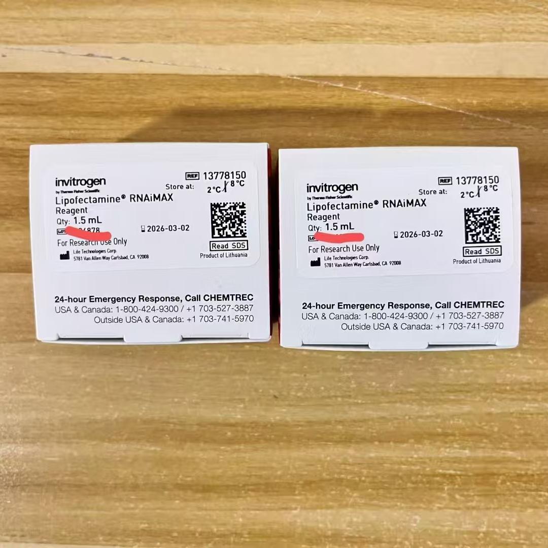 Invitrogen/Lipofectamine? RNAIMAX? 转染试剂/13778150