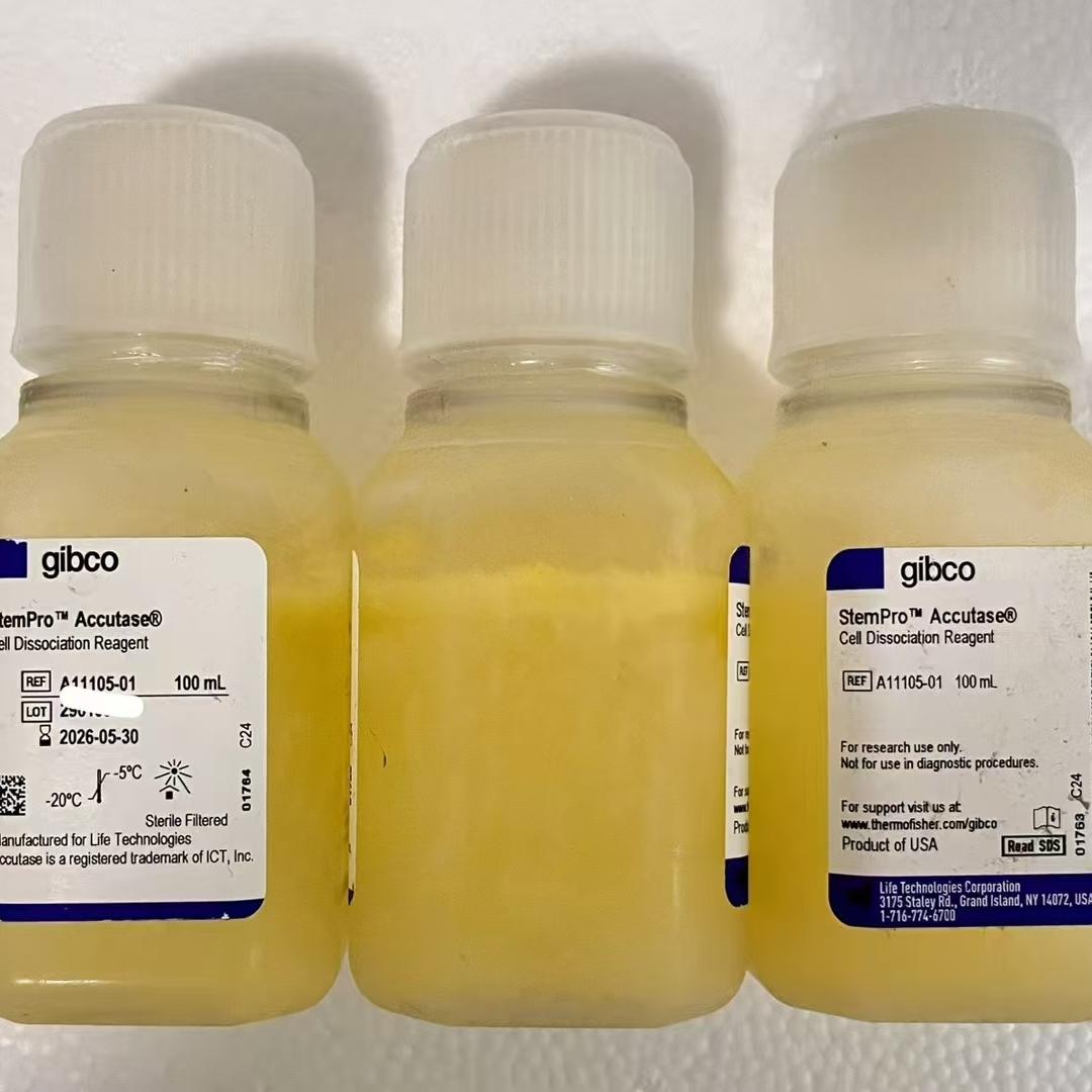 Gibco/StemPro? Accutase? 细胞解离试剂/A1110501/100ml