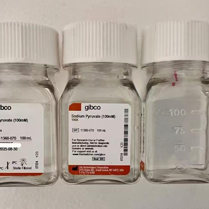 Gibco/Sodium Pyruvate (100mM)丙酮酸钠/11360070/100ml