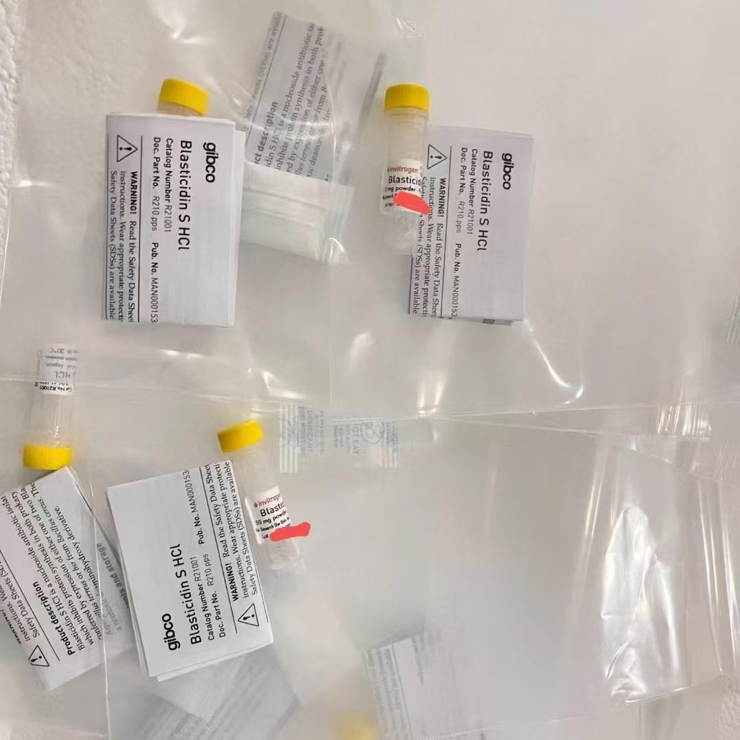 Gibco/杀稻瘟菌素 S HCl (10 mg/mL)/A113903