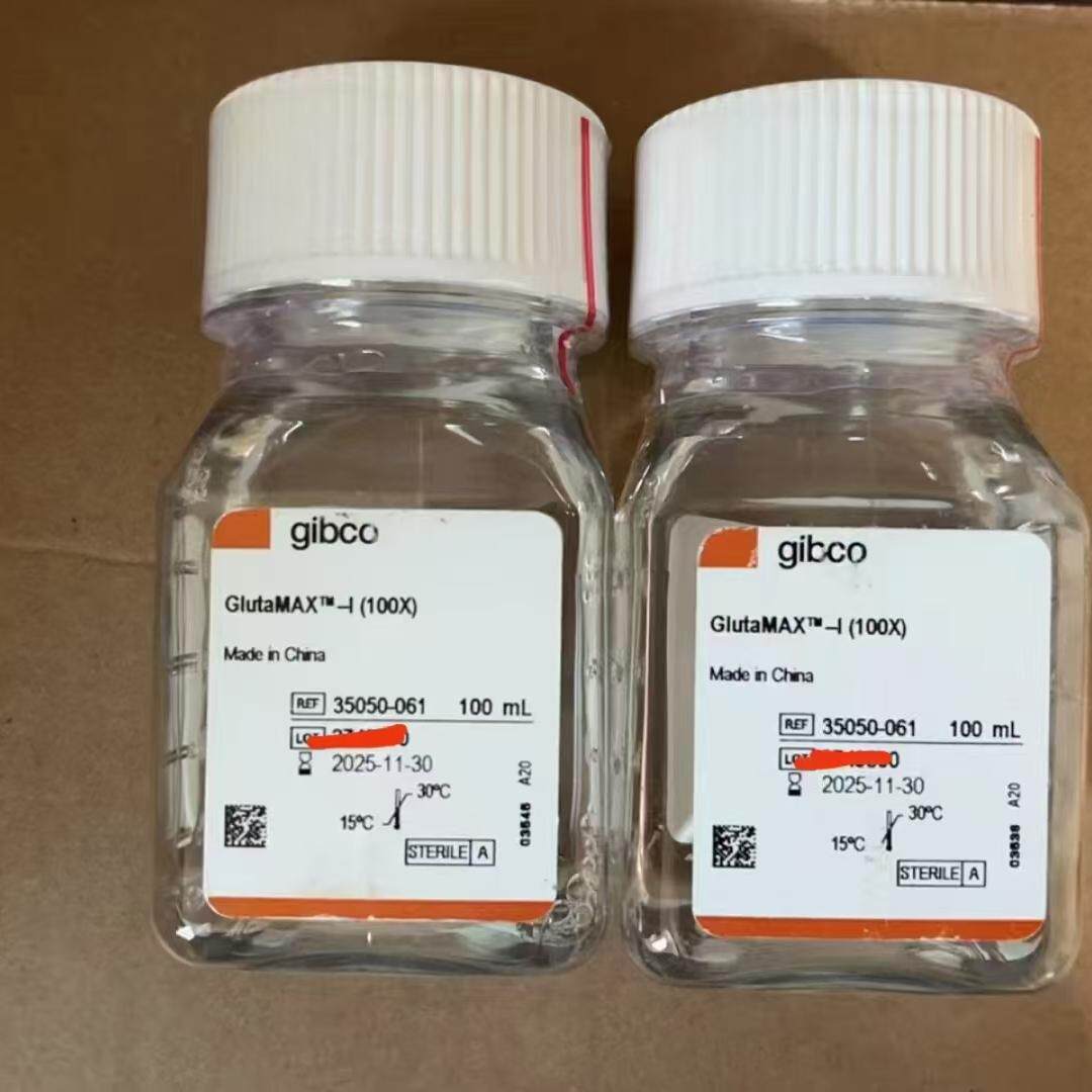 Gibco/GlutaMAX? 补充剂/35050061/100ml