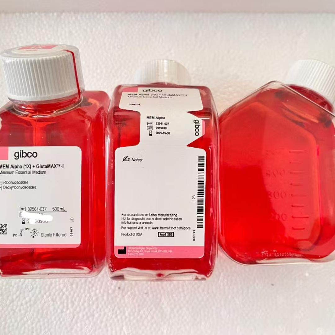Gibco/MEM&alpha;，GlutaMAX添加剂，不含核苷培养基/32561037/500ml