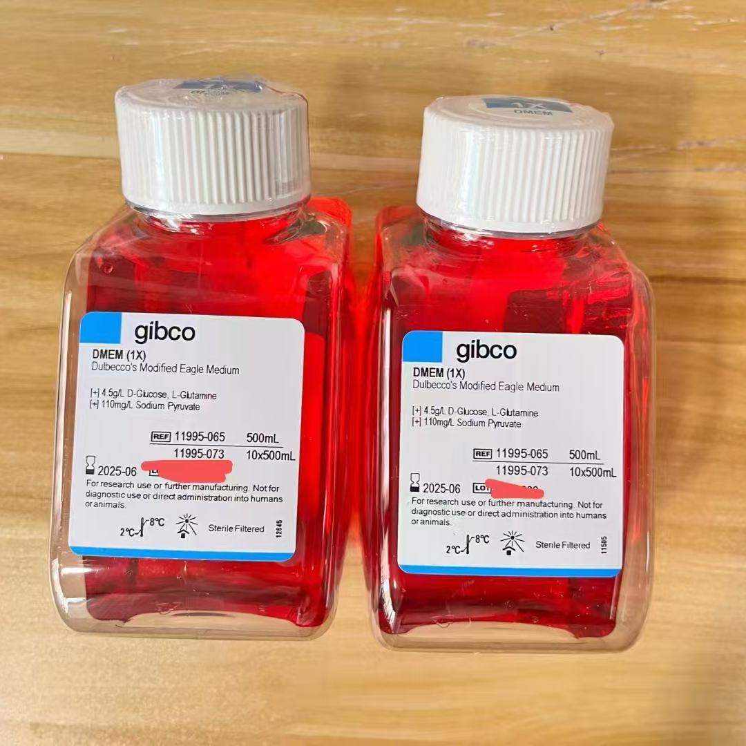 Gibco/DMEM高糖培养基/11995065/500ml