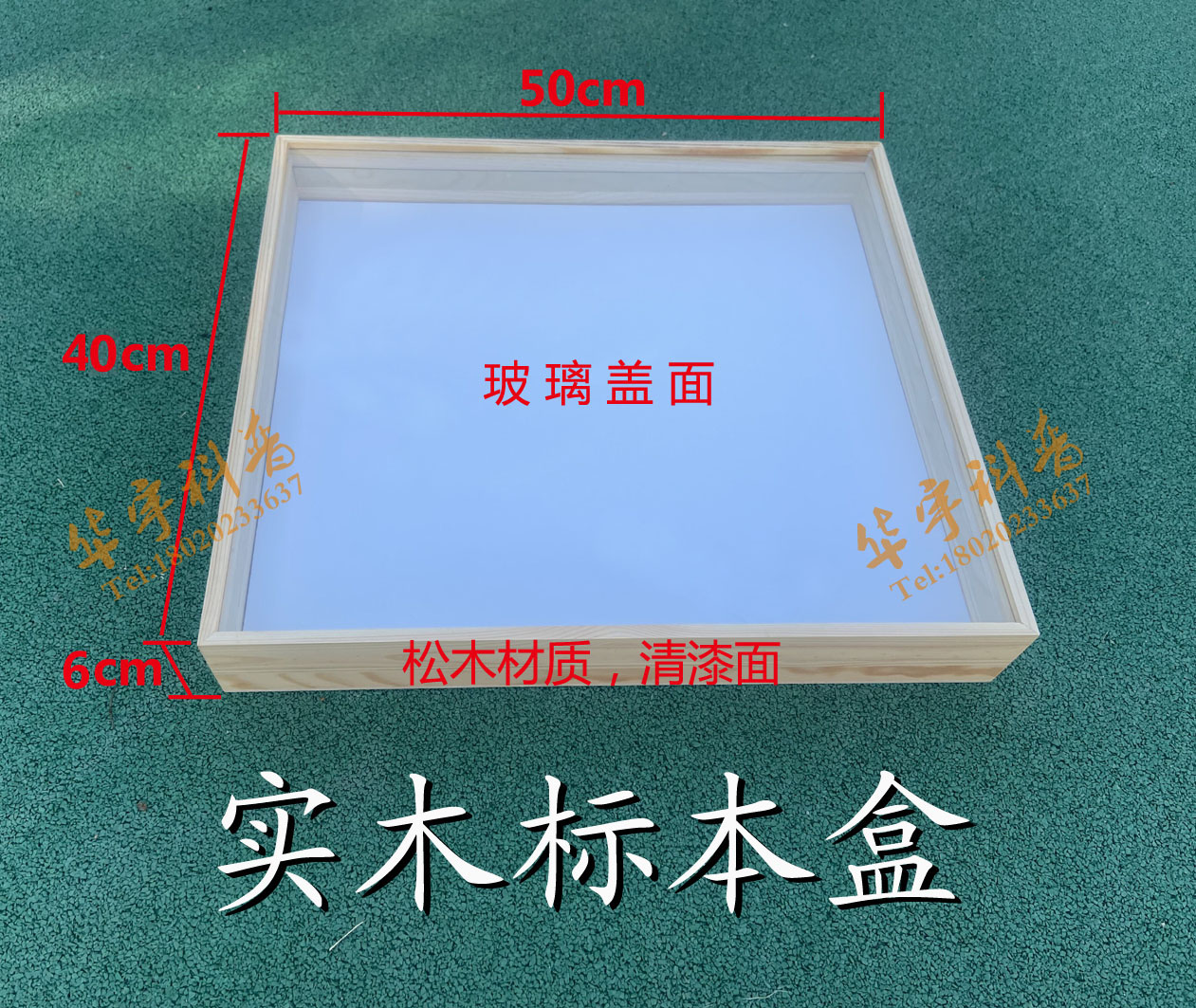 昆虫标本盒玻璃盖大号标本保存盒50*40*6cm松木清漆可开票