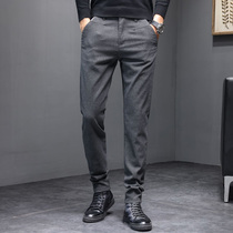 Fall Casual Long Pants Mens Business Casual Pants Trendy Sweater Naughty Pants Straight Barrel Loose Elastic Pants Man