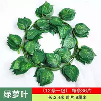 36 кусочков зеленого любовника 12 штук