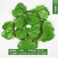 20 листьев большие виноградные листья (12 упаковок!)