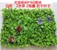 Cây xanh tường mô phỏng cây cỏ trang trí tường trong nhà nền hoa tường màu xanh lá cây treo tường nhựa giả cửa - Hoa nhân tạo / Cây / Trái cây hoa giả để phòng khách