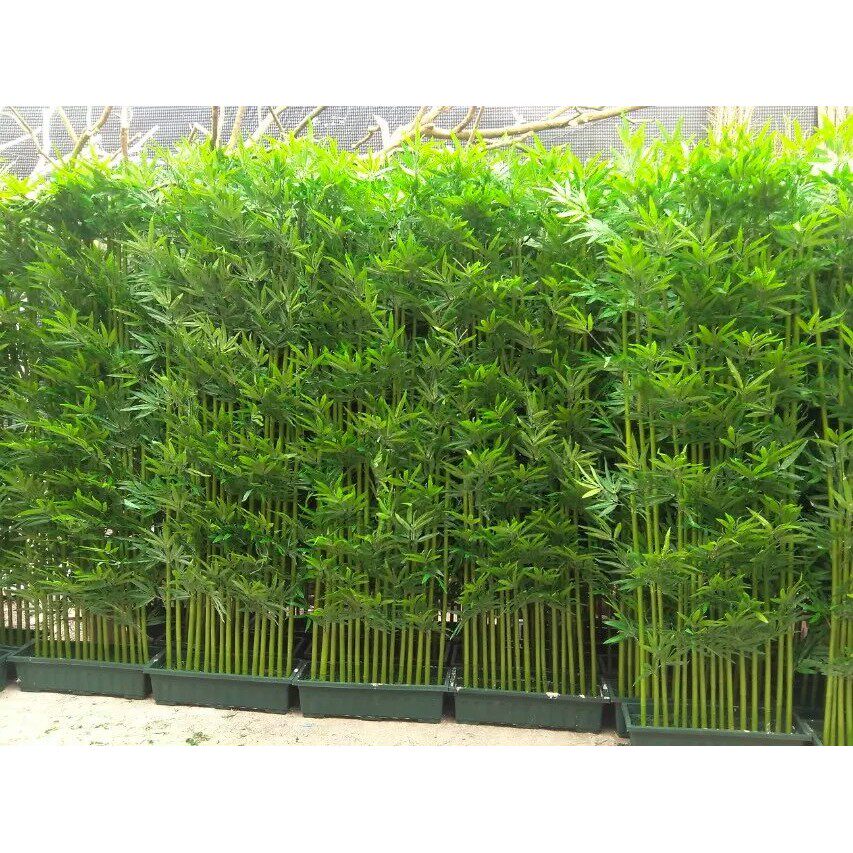 Simulation of environmentally friendly coating decoration bamboo living room decoration fake bamboo partition screen manufacturer direct sales of green bamboo bamboo bamboo