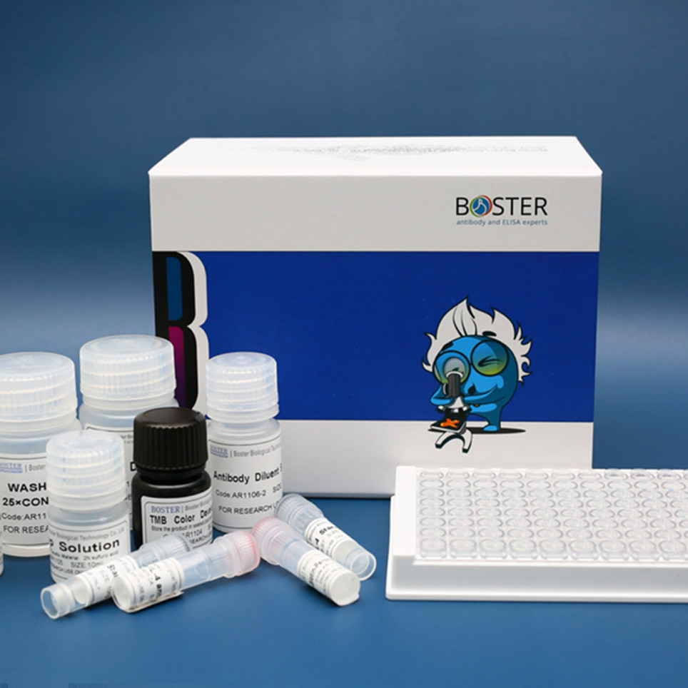 Human /Mouse/Rat BDNF ELISA Kit. 博士德ELISA 96T，假一赔十