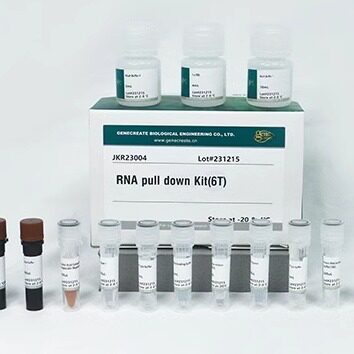 RNA pull-down试剂盒,蛋白互作，特价活动