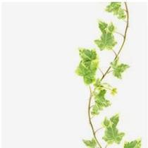 Decoration customization