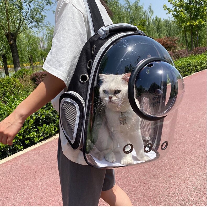 Cat Bag Out Portable Space Cabin Cat Shoulder Bag Dog Scapegoat Bag Out Panoramic Transparent Double Shoulder Portable Breathable Space Bag