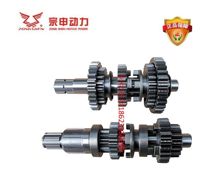 Zongshen Origin factory beach car CG 250 200 Bashan Xinyuan Lion runs built into the main side axis of the backlog engine