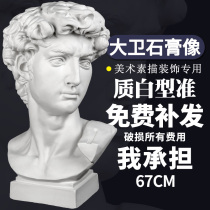  David gypsum statue Art teaching aids Gypsum head sculpture Gypsum sculpture sketch Gypsum head model