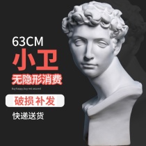  Xiaowei Medici Gypsum statue Art teaching aids Gypsum head sculpture Gypsum sculpture sketch Gypsum head model