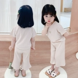 Летние штаны, детская летняя одежда, комплект, короткий рукав, 2020, 2 лет