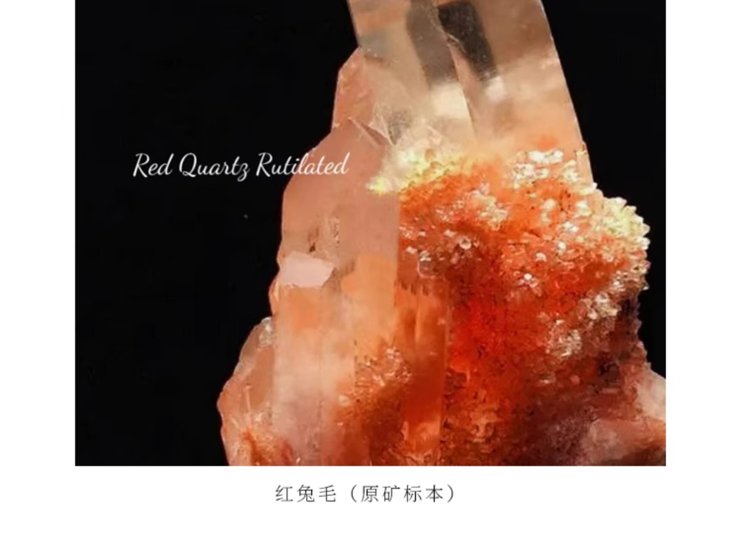 手饰/手串 plstone普琳丝天然水晶珠宝级巴西老矿金鱼红兔毛聚宝盆手錬 Pulin Si