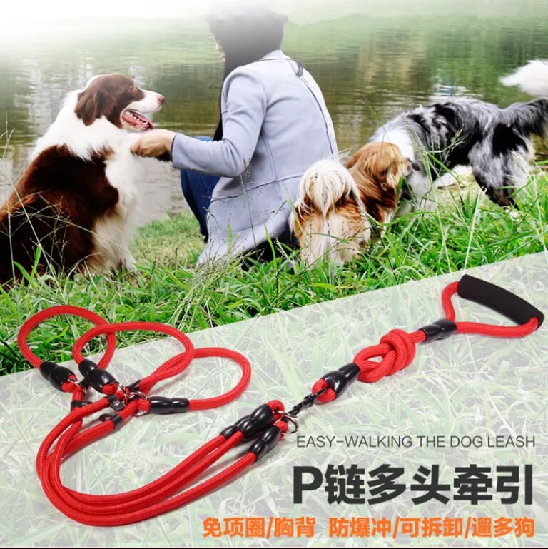 Two-headed dog rope, two walking dog rope, two small middle and large dog pet traction rope Teddy gold dog chain