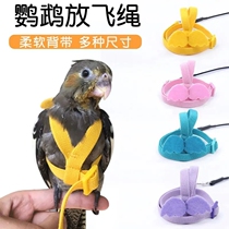 Parrot releases rope to trace tiger skin and super light training of the eight brother flight rope strap-walking bird artifact