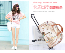 Tide Travel Bag Luggage Bag Woman Large Capacity Cartoon Tie Rod Bag Den Case Hand Fitness Bag Primary and secondary tourist bag