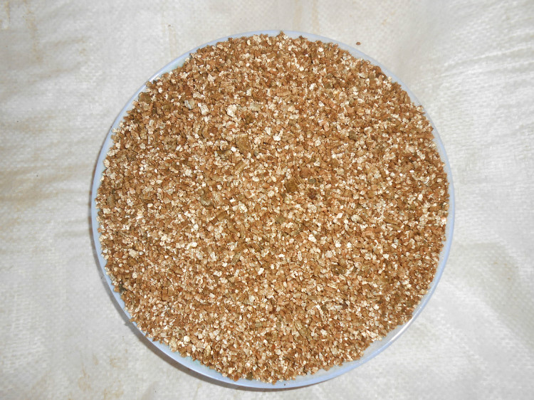 Ocher tốt mọng nước chậu hoa phong lan trung bình thực vật lưỡng cư nở vườn cung cấp dụng cụ nhổ cỏ