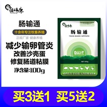 Enteric probiotics Veterinary regulation of intestinal flora Chicken duck goose Poultry feed additives repair intestinal mucosa