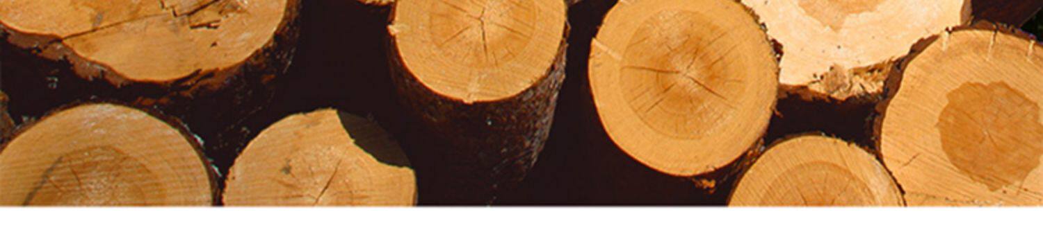 Детский стульчик 实木儿童学习椅子宝宝靠背椅家用卧室中小学生书桌椅可升降写字椅 5561177205