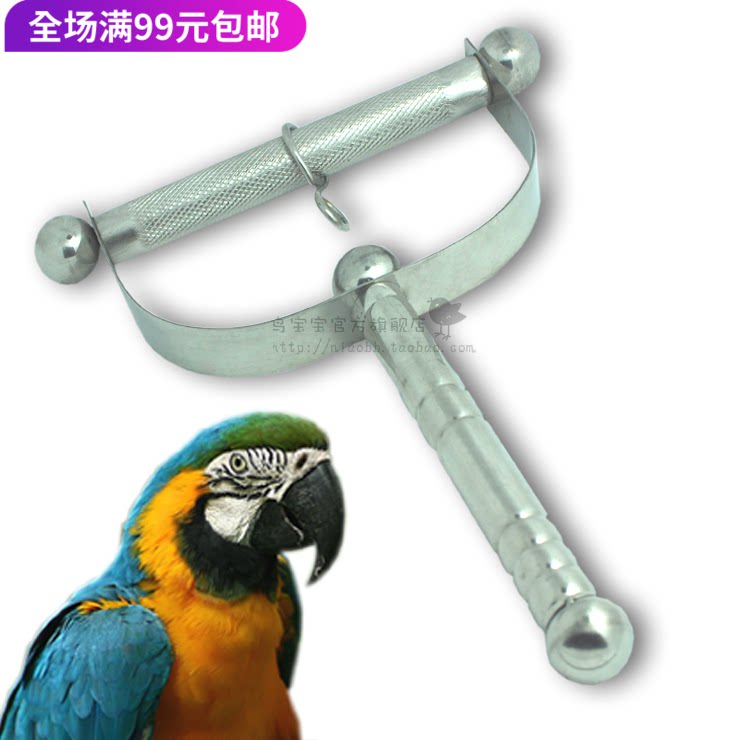 High quality stainless steel cockrot frame footchain toy large and medium - sized number out of parrot stand frame