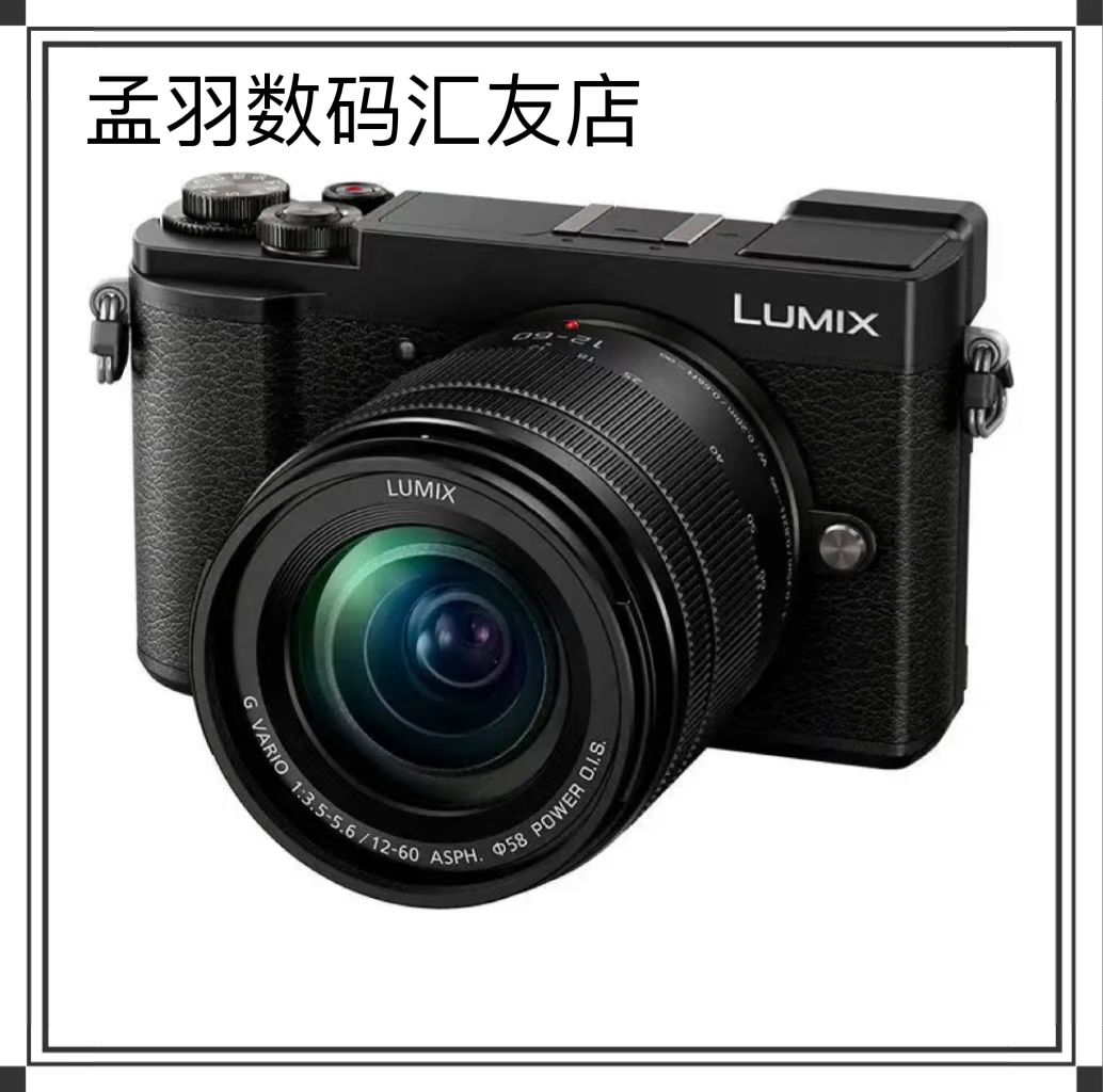 Panasonic G9 GX9 G85 Micro Single Camera Travel Portrait Like SF Fast Focus HD Video