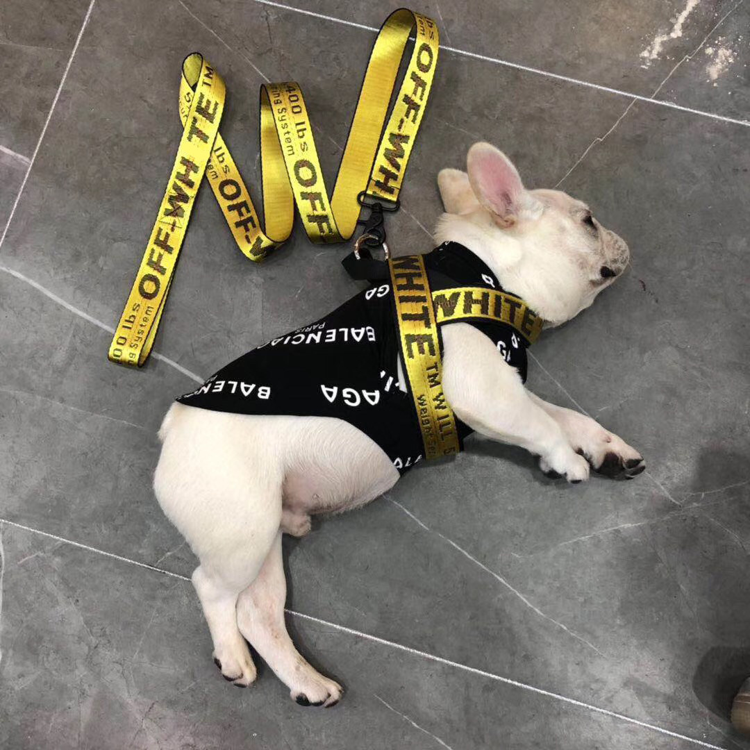 Dog anti-lost method bucket collar tide brand Schnauzer traction rope adjustable Teddy large, medium and small dog chain off