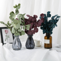 Eucalyptus Apple leaf eucalyptus dried flower arrangement DIY flower material ins home minimalist shooting props