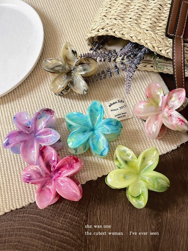 Smudged Frangipani Hair Clip Clip Женский 2025 новый стиль задняя голова блюдо для волос зажима для волос с зажинимым зажимом для волос головной убор