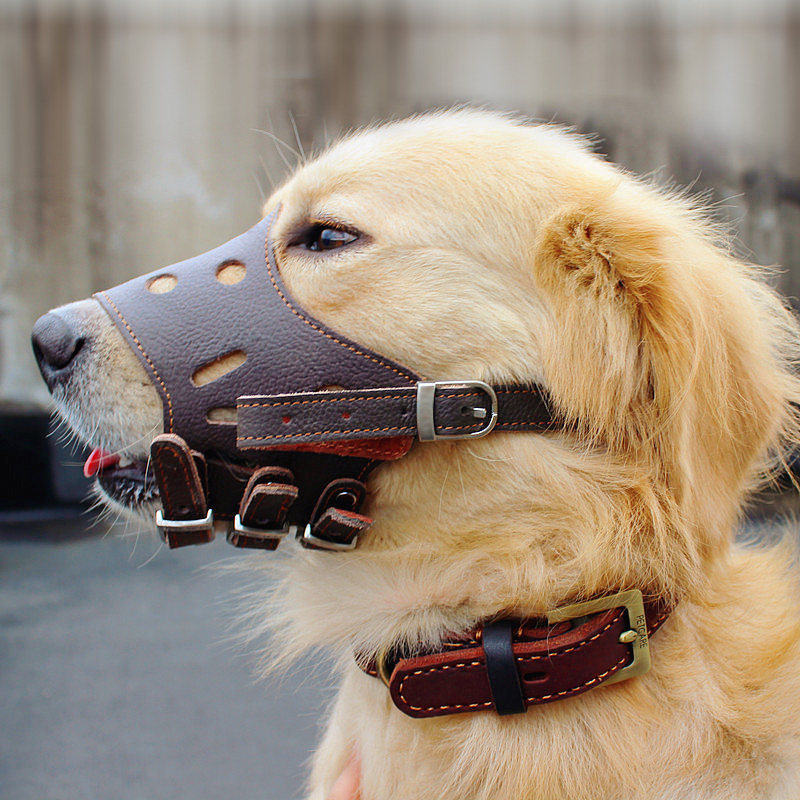 Large dog mouth cover dog mask mouth cover with large dog prevention called dog anti-pick up mask puppy dog mouth cover dog bite