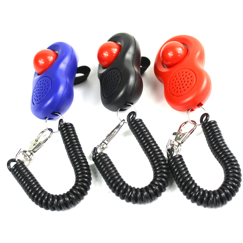 Dogs trainer Maine border Shepherd dogs Deed Shepherd Maine Labrador Moyer Pet Training Dog for dog supplies