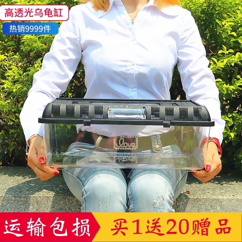 Hexagonal dragon special fish tank dinosaur salamander pet amphibian feeding box small turtle cylinder angle frog feeding box with lid