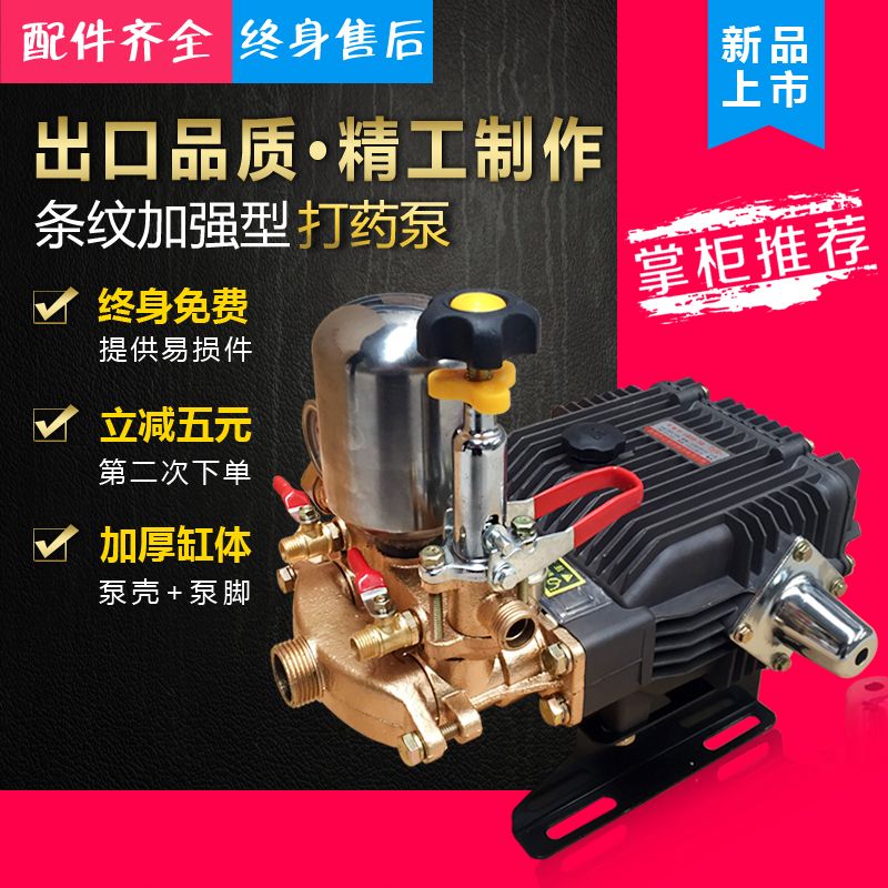 Agricultural high pressure triplex plunger pump sprayer spray pump remote sprayer washing machine pressure pump car wash water pump head