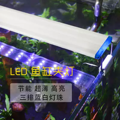 Self-swimming dragon fish tank light LED blue white light bright fish lamp water straw tank lighting rod bracket light three rows of lamp beads