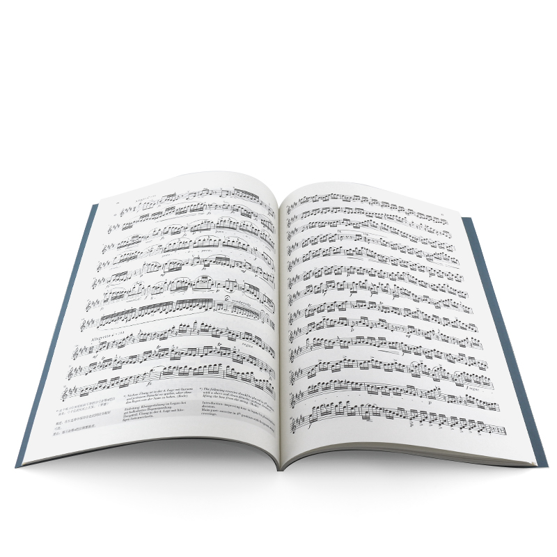 罗德小提琴随想曲24首原作版/古典小提琴想曲24首书罗德艺术音乐罗德小提琴基础练习曲曲谱教程小提琴古典小提琴博览系列随想曲书