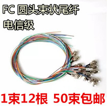 Telecom grade FC large round head 12 - color single - mode ODF fused disk beam fiber jumper extended tail fiber cable