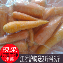 3 Jin Subei farmhouse small carrots that day now wash vegetables Go to mud vacuum installed Jiang Zhejiang and Anhui 2 2 5 kilos