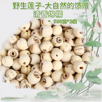 Special class 2 catty white lotus seed dry goods machine grinding leather to the core Hongze Lake wild lotus seed Su Beibailian New stock