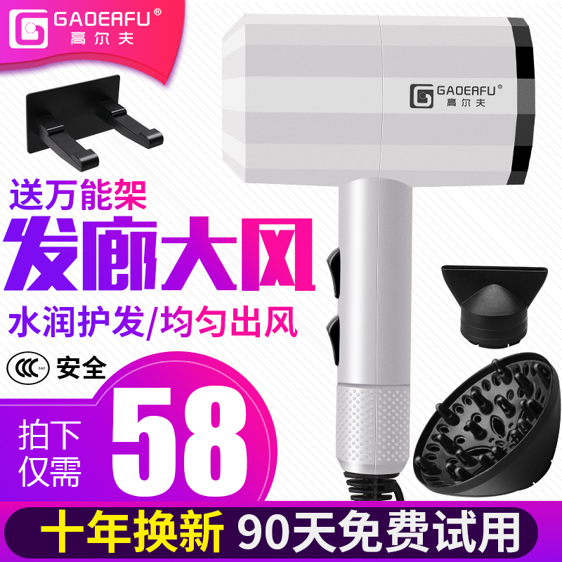 Li Jiazaki hair salon hair dryer Home Richie shop High power hot and cold hair dryer negative ions mute without injury