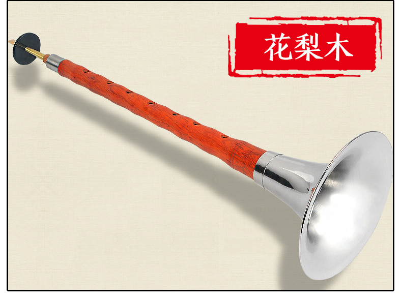 Ebony mun pipa BCEFG giai điệu người mới bắt đầu trẻ em chuyên nghiệp kích thước gỗ hồng sắc - Nhạc cụ dân tộc sáo trúc mão mèo
