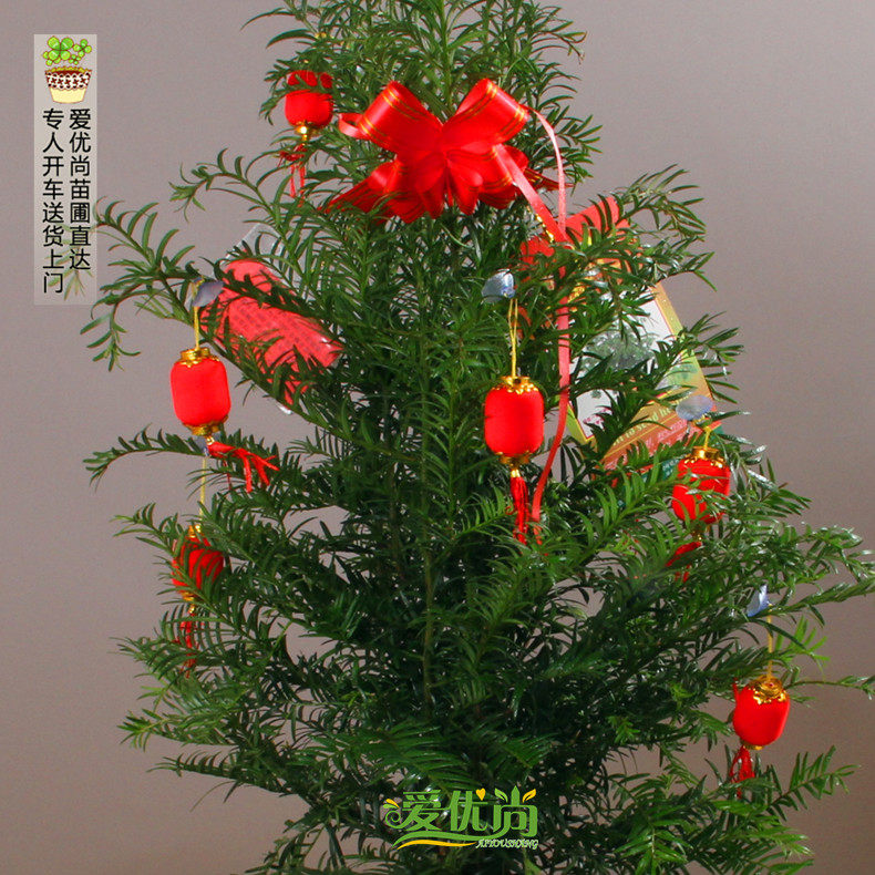 �����к춹ɼ����00025