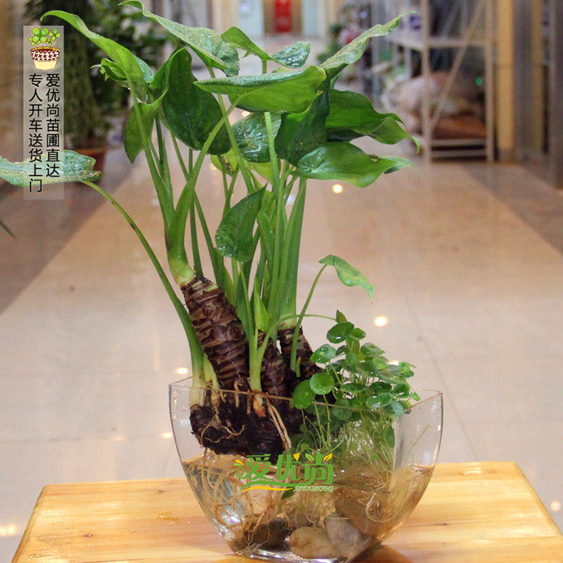 ������ˮ���ˮ��������00041