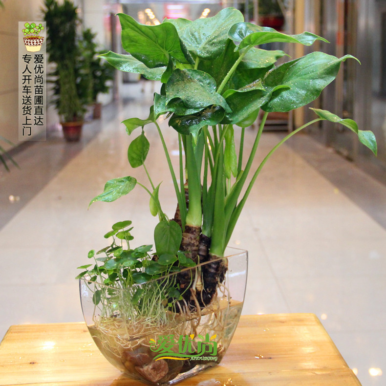 ������ˮ���ˮ��������00041